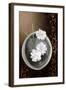 White Jasmine-Gerard Beauvoir-Framed Art Print