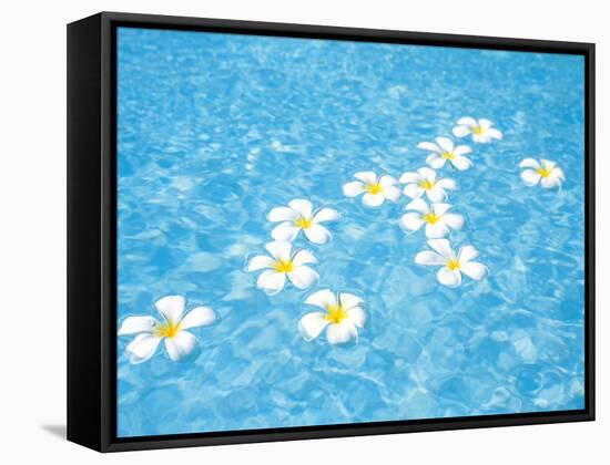 White Jasmines Floating on Water-null-Framed Stretched Canvas