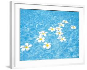 White Jasmines Floating on Water-null-Framed Photographic Print