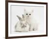 White Kitten and Baby Rabbit-Mark Taylor-Framed Photographic Print