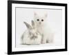 White Kitten and Baby Rabbit-Mark Taylor-Framed Photographic Print