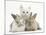 White Kitten and Baby Rabbits-Mark Taylor-Mounted Photographic Print