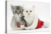 White Kitten and Tabby Kitten in a Father Christmas Hat-Mark Taylor-Stretched Canvas