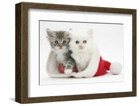 White Kitten and Tabby Kitten in a Father Christmas Hat-Mark Taylor-Framed Photographic Print