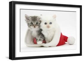 White Kitten and Tabby Kitten in a Father Christmas Hat-Mark Taylor-Framed Photographic Print