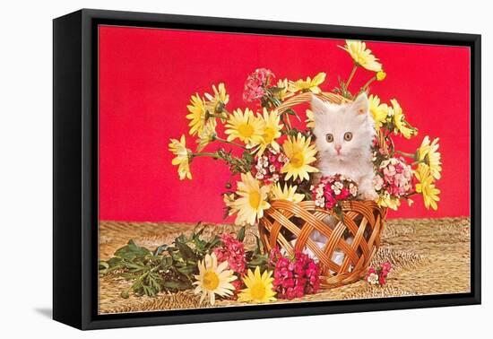 White Kitten in Basket of Daisies-null-Framed Stretched Canvas