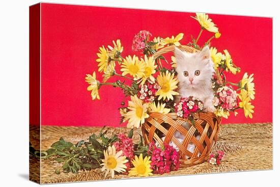 White Kitten in Basket of Daisies-null-Stretched Canvas