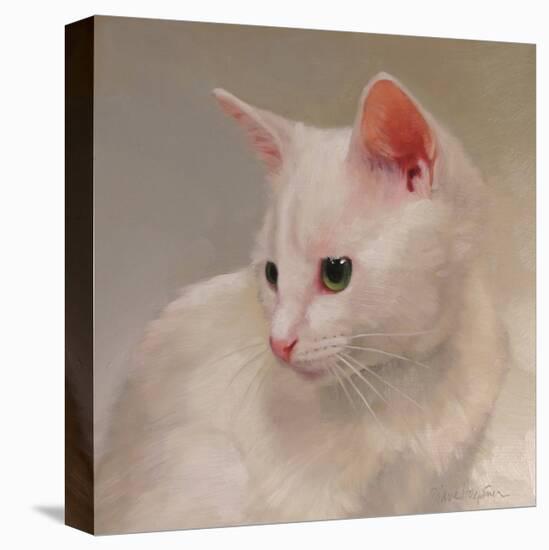 White Kitten-Diane Hoeptner-Stretched Canvas
