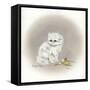 White Kitty (Ornament)-Peggy Harris-Framed Stretched Canvas