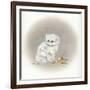 White Kitty (Ornament)-Peggy Harris-Framed Giclee Print