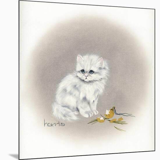 White Kitty (Ornament)-Peggy Harris-Mounted Giclee Print