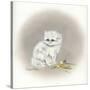 White Kitty (Ornament)-Peggy Harris-Stretched Canvas