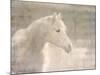White Knight Serenity-Kimberly Allen-Mounted Art Print