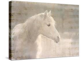 White Knight Serenity-Kimberly Allen-Stretched Canvas