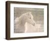 White Knight Serenity-Kimberly Allen-Framed Art Print