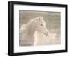 White Knight Serenity-Kimberly Allen-Framed Art Print