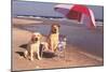 White Labradors at the Beach-null-Mounted Art Print