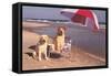 White Labradors at the Beach-null-Framed Stretched Canvas