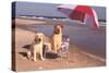 White Labradors at the Beach-null-Stretched Canvas