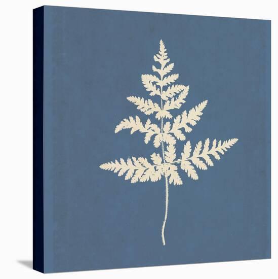 White Leaf on Blue 01-Tom Quartermaine-Stretched Canvas