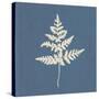 White Leaf on Blue 01-Tom Quartermaine-Stretched Canvas