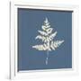 White Leaf on Blue 01-Tom Quartermaine-Framed Giclee Print