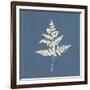White Leaf on Blue 01-Tom Quartermaine-Framed Giclee Print