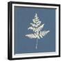 White Leaf on Blue 01-Tom Quartermaine-Framed Giclee Print