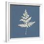 White Leaf on Blue 01-Tom Quartermaine-Framed Giclee Print