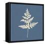 White Leaf on Blue 01-Tom Quartermaine-Framed Stretched Canvas