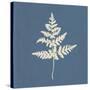 White Leaf on Blue 01-Tom Quartermaine-Stretched Canvas