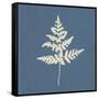 White Leaf on Blue 01-Tom Quartermaine-Framed Stretched Canvas