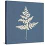 White Leaf on Blue 01-Tom Quartermaine-Stretched Canvas