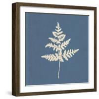 White Leaf on Blue 01-Tom Quartermaine-Framed Giclee Print