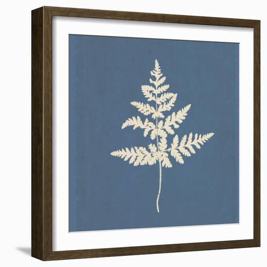 White Leaf on Blue 01-Tom Quartermaine-Framed Giclee Print