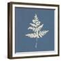 White Leaf on Blue 01-Tom Quartermaine-Framed Giclee Print