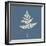 White Leaf on Blue 01-Tom Quartermaine-Framed Giclee Print