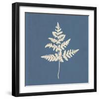 White Leaf on Blue 01-Tom Quartermaine-Framed Giclee Print