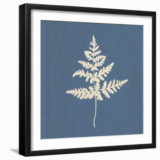 White Leaf on Blue 01-Tom Quartermaine-Framed Giclee Print