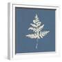 White Leaf on Blue 01-Tom Quartermaine-Framed Giclee Print