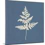 White Leaf on Blue 01-Tom Quartermaine-Mounted Giclee Print