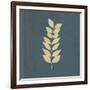 White Leaf on Blue 02-Tom Quartermaine-Framed Giclee Print