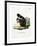 White-Legged Squirrel-null-Framed Giclee Print