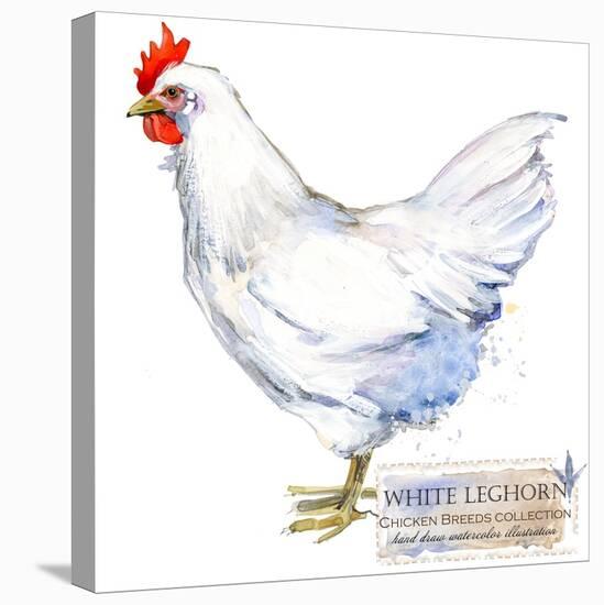 White Leghorn Hen. Poultry Farming. Chicken Breeds Series. Domestic Farm Bird-Faenkova Elena-Stretched Canvas