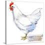 White Leghorn Hen. Poultry Farming. Chicken Breeds Series. Domestic Farm Bird-Faenkova Elena-Stretched Canvas