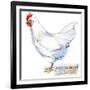 White Leghorn Hen. Poultry Farming. Chicken Breeds Series. Domestic Farm Bird-Faenkova Elena-Framed Art Print