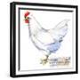 White Leghorn Hen. Poultry Farming. Chicken Breeds Series. Domestic Farm Bird-Faenkova Elena-Framed Premium Giclee Print