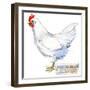 White Leghorn Hen. Poultry Farming. Chicken Breeds Series. Domestic Farm Bird-Faenkova Elena-Framed Art Print