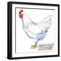 White Leghorn Hen. Poultry Farming. Chicken Breeds Series. Domestic Farm Bird-Faenkova Elena-Framed Art Print