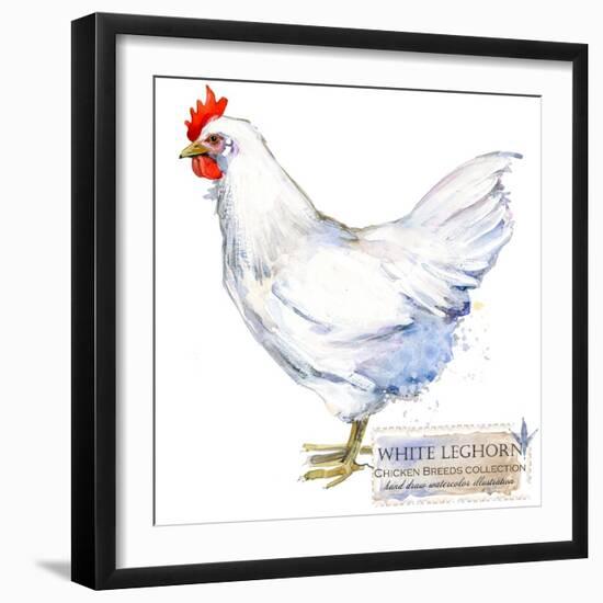 White Leghorn Hen. Poultry Farming. Chicken Breeds Series. Domestic Farm Bird-Faenkova Elena-Framed Art Print